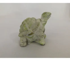 Concret Turtle