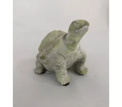 Concret Turtle