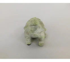 Concret Turtle