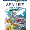 Creative  Haven – Counrty Farm Scenes Coloring Book