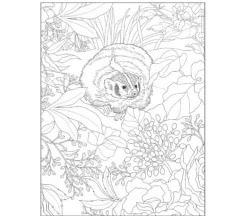 Creative Haven – Entangled Dragonflies Coloring Book
