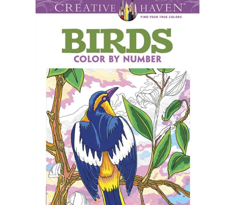 Creative Haven – Pixie Dust Dreams Coloring Book