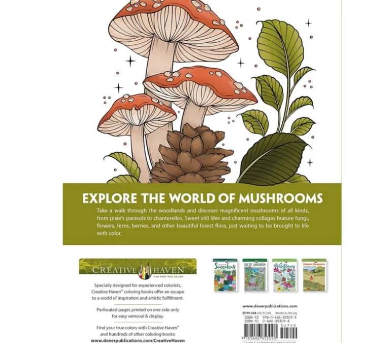Creative Haven – Pixie Dust Dreams Coloring Book