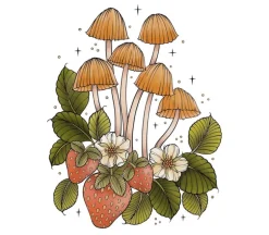 Creative Haven – The Art of Mushrooms Coloring Book