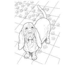 Creative  Haven – Trees Of Life Coloring Book