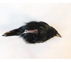 Crow Figurine with Metal Clip – 7.5-inch