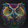 Crystal Art Diamond Painting Mounted Kit – Medium – Nocturnal Wonder