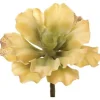 7″ Curly Echeveria Pick