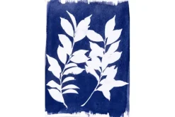 Cyanotype Chemistry Set