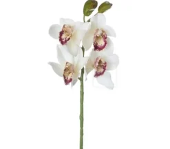 19″ Cymbidium Orchid Spray, Burgundy