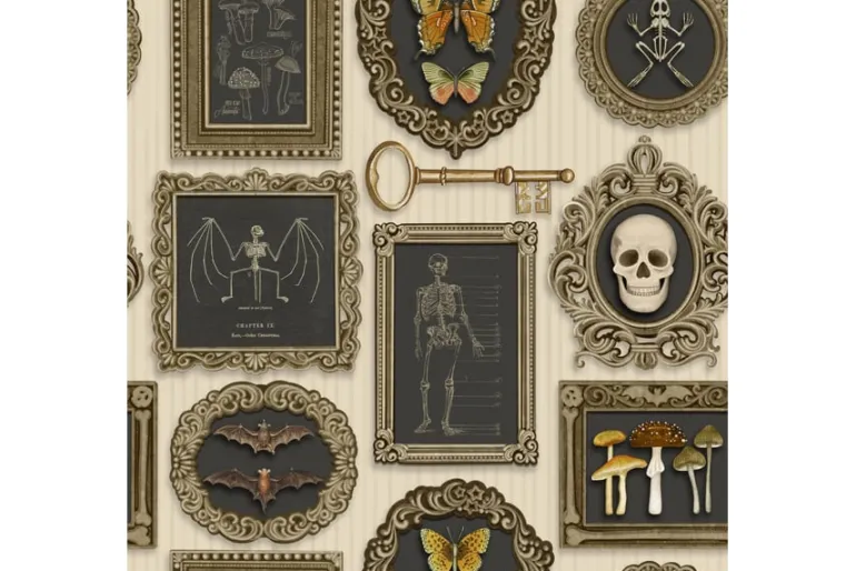 Dark Academia Skulls and Succulents