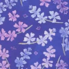Delphinium Lilac Toss on Agapanthus