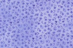 Delphinium Lilac Toss on Bluebell