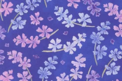 Delphinium Sea Pink on Agapanthus