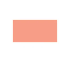 Delta Ceramcoat Acrylic Paint – 2-ounce – Salmon