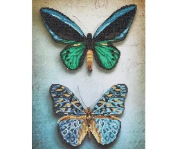 Diamond Dotz Antique Butterflies Kit
