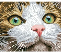 Diamond Dotz Green Eyed Beauty Kit