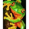 Diamond Dotz Green Tree Frog Kit