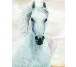 Diamond Dotz Imperial Stallion Kit