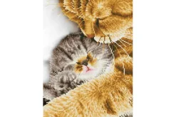 Diamond Dotz Kit – Tender Moment