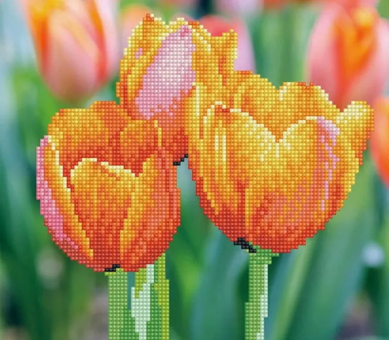 Diamond Dotz Love Tulips Kit