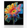 Diamond Dotz Neon Flock Kit – Mandala