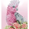 Diamond Dotz Pink Galah Banksias Kit