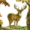 Diamond Dotz Prince of the Forest Kit