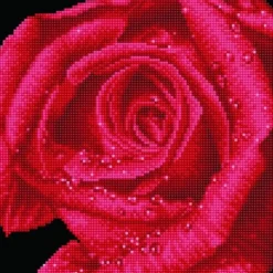 Diamond Dotz – Rose Dew