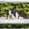 Diamond Dotz Squares Boston Blues Kit