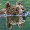 Diamond Dotz Squares Grizzly Swim Kit