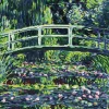 Diamond Dotz Water Lilies and Japanese Bridge Kit