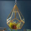Diamond Shape Glass Terrarium – 6″ x 8″ – Geometric Plant Display