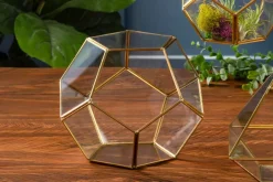 Diamond Shape Glass Terrarium – 6″ x 8″ – Geometric Plant Display