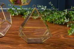 Diamond Shape Glass Terrarium – 6″ x 8″ – Geometric Plant Display
