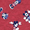 Disney Minnie and Mickey Mouse Patriotic Toss