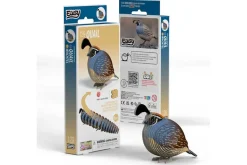 3D Model Kit – Kingfisher