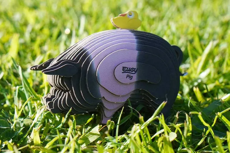 3D Model Kit – Ocean Sunfish