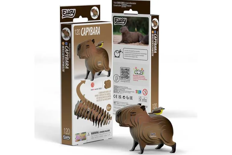 3D Model Kit – Ocean Sunfish