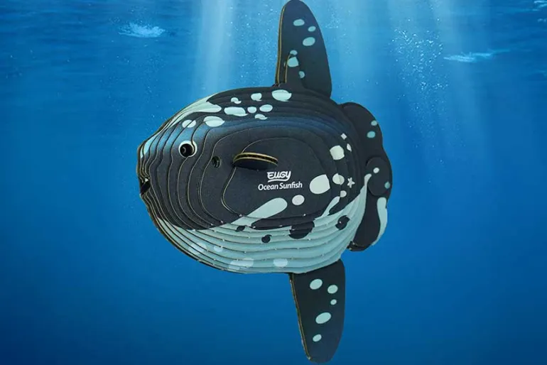 3D Model Kit – Ocean Sunfish