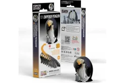 3D Model Kit – Quail