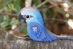 3D Model Kit – Spix’s Macaw