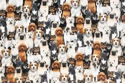 Dog-Pile Digital Cuddle Beige
