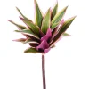 10″ Dracaena Plant