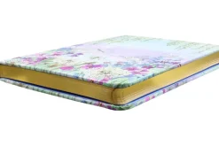 Dragonflies & Dandelions Journal