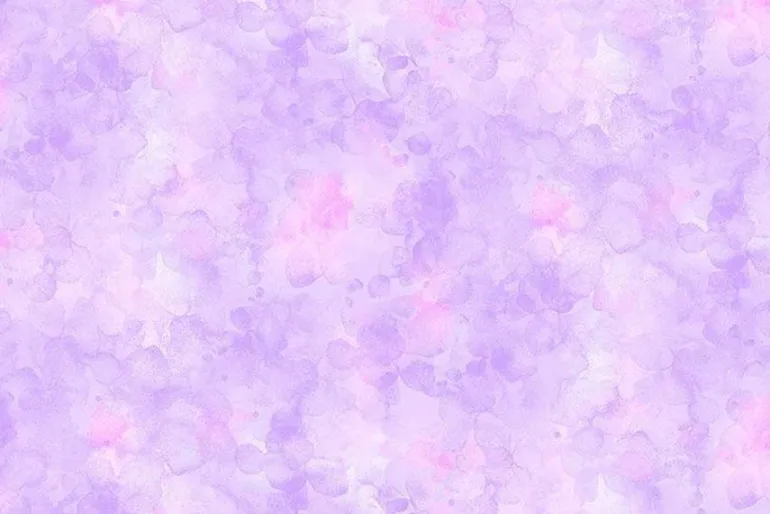 Dragonfly Mist Purple Floral 108-inch Quiltback