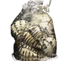 Driftwood Tabletop Décor Piece