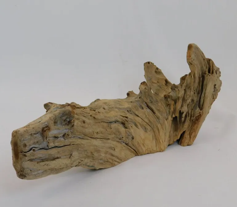 Driftwood Tabletop Décor Piece