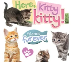 3D Stickers – Here Kitty Kitty