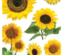 3D Stickers – Sunflower